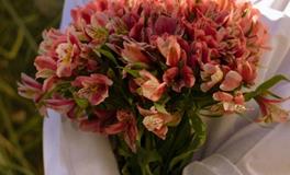 能量不足时，12生肖如何获得治愈？