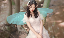 闹闹女巫店2024年生肖狗年度运势