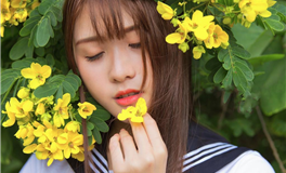 艾菲尔十二星座一周运势(2.26-3.3)