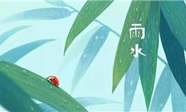 雨水节气旺运指南