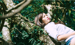 能力强，过上更幸福生活的星座