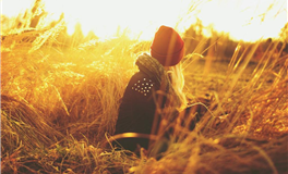 处女座突然性情发生了这样的转变，证明他恋爱了