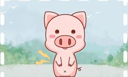 1995年属猪寿命长吗，能活到多少岁