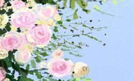 当白羊男看到暗恋自己的女生写的日记