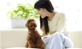 金牛男看女生的第一眼会看哪儿