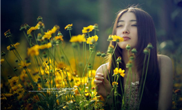 李云天生肖猪一周运势（3.17-3.23）