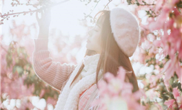 西游记中的属牛的代表人物