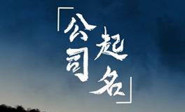 大气又有诗意，音韵优美的公司名字