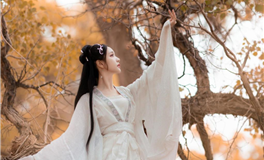 属马的人对待朋友的态度