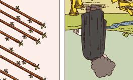 Pandora占星小巫双鱼座一周塔罗运势（3.25-3.31）