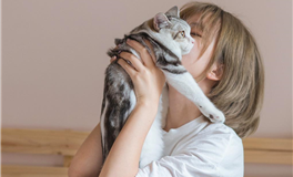 属牛的人求学欲望有多强