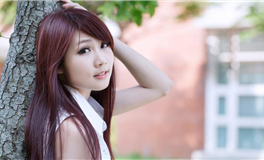 2024甲辰年农历三月生肖运势简析(4.4-5.4)