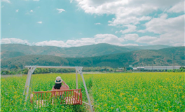 玛法达一周星座运势（4.11-4.17）