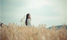 情意绵长，却终究梦幻泡影的命途之谜