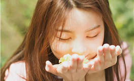 十二生肖微信运动排行榜，属鸡的排第几