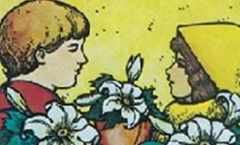 爱莎公主金牛座一周塔罗运势（5.13-5.19）