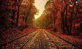 1句实在话，2句真心话，3句良心话…