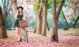 盘点那些天造地设的结婚伴侣