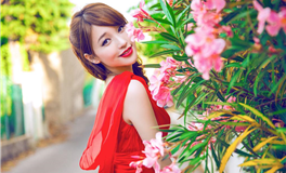 属牛的人会恐婚吗