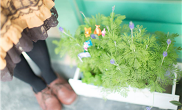 Lunita占星之旅双鱼座一周运势（7.1-7.7）