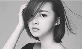 谁能俘获属狗者的心