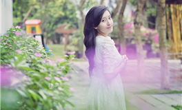 转运必备！属马的你不可不知的旺财绿植指南