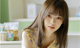 转运必备！属龙的你不可不知的旺财绿植指南