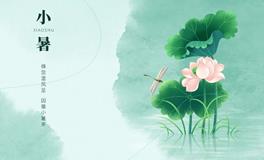 小暑来临，夏日风情渐浓