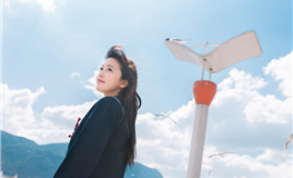 财务预警，深入分析,该项目的盈利潜能与亏损风险