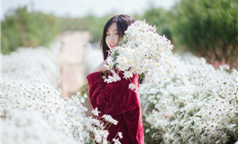 魅力非凡，诱惑爆表的4个生肖女