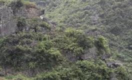 富贵阴宅寻踪，风水选穴的艺术与实践