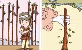 Pandora占星小巫天蝎座一周塔罗运势（7.29-8.4）