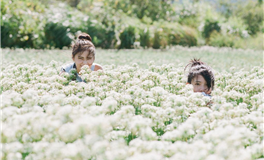 四大颜值与性格并重的星座女神
