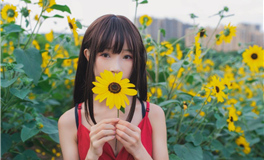 第2宫财帛宫位于巨蟹座，看你的金钱驾驭能力