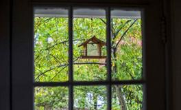 风水刑煞篇之—窗外煞