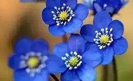 2024，一份给久未联络朋友的深情寄语