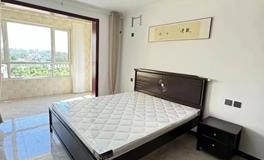 共筑爱巢：新婚夫妇必看的风水布置要点