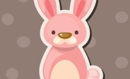 属兔人2025年全年运势运程，属兔人2025年运势及运程每月运程