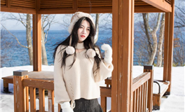 职场中12生肖潜在危机解析及应对策略