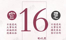 闹闹女巫店今日运势2024年11月16日