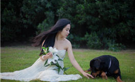 阿妙占星每日星座运势2024年12月30日