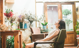 占星妖妖十二星座每日运势（2024-12-26）