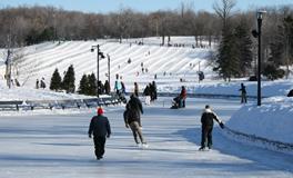 寒风起，大雪至，深冬安好寄温情