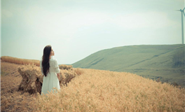 苏米君十二星座每日运势播报（12月20日）