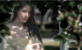 2025年春联贴画吉祥日揭秘：把握最佳贴春联时机