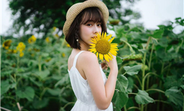 精准指南：如何挑选最佳的良辰吉日