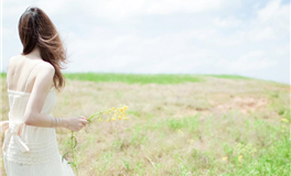 解码2025：12生肖人际交往指数全览