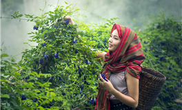 狂月今日星座运势2025年2月12日