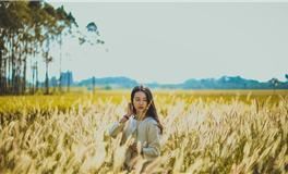 Ezoey徐佩玲2025年2月星座运势