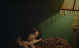 海百合十二星座本周运势（2.17-2.23）